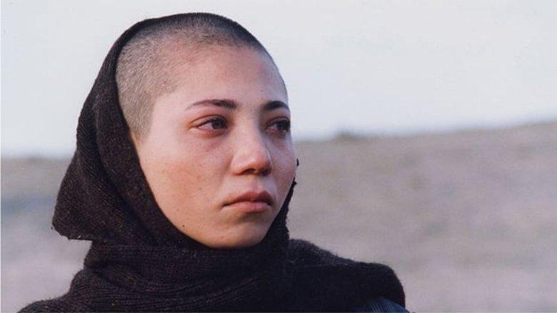 Daughters of the Sun image