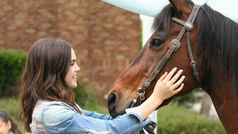 A Cowgirl's Story image