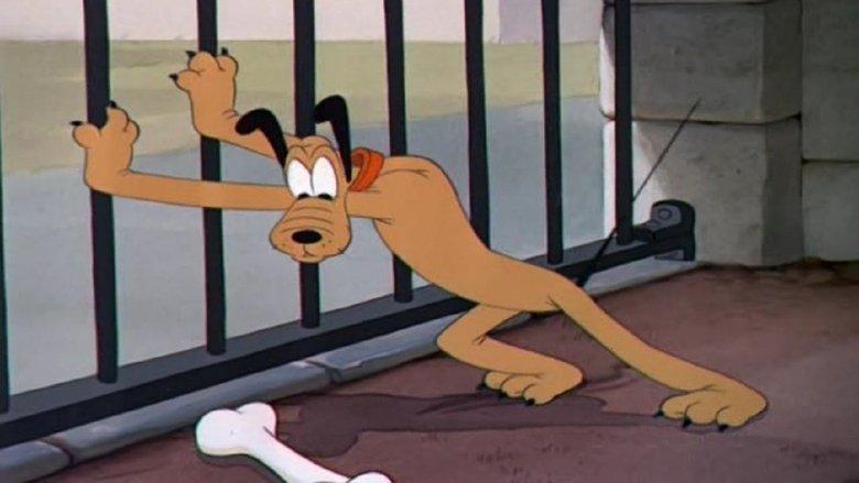 Pluto at the Zoo image