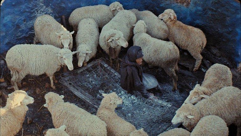 This Is Not a Burial, It’s a Resurrection image