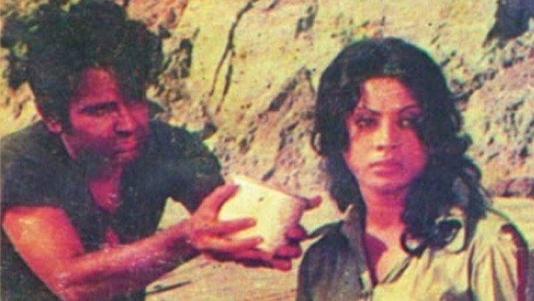Rupali Shaikate image