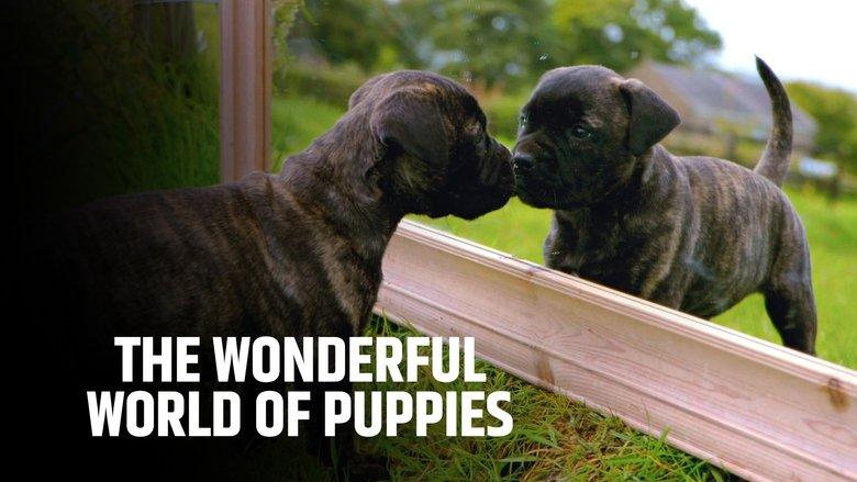 The Wonderful World of Puppies image