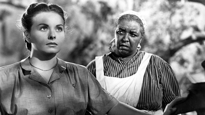 The Vanishing Virginian image
