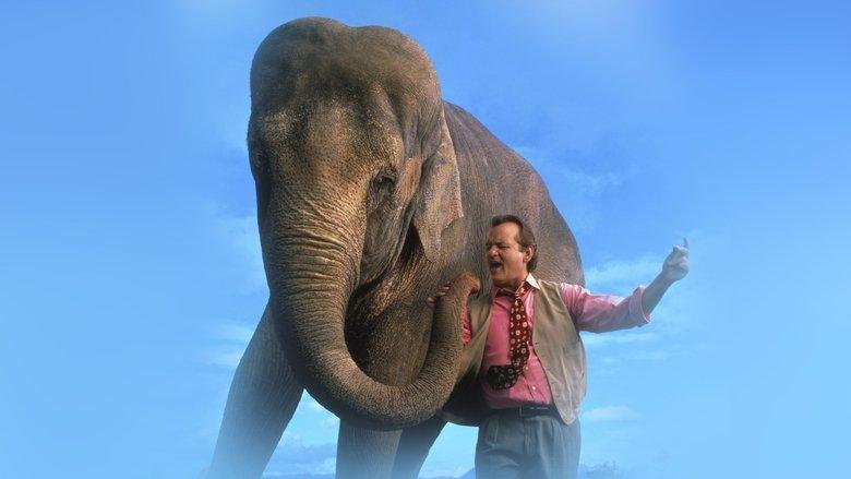 Larger Than Life image