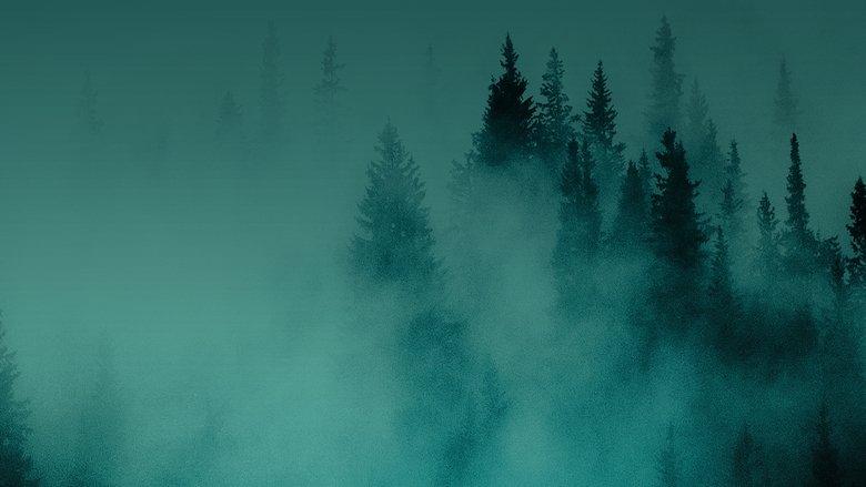 Hunting Matthew Nichols image