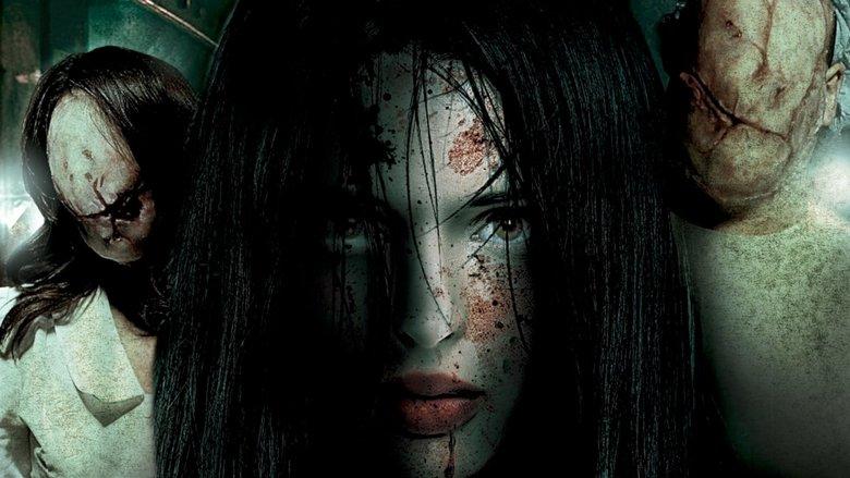Animus image