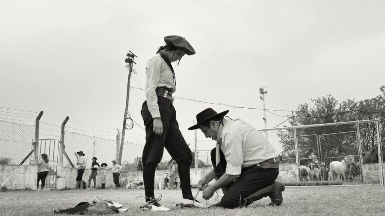 Gaucho Gaucho image