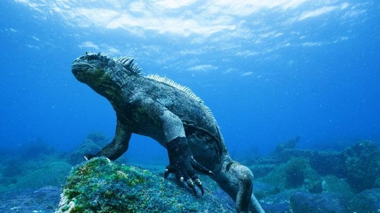 Galapagos 3D: Nature's Wonderland image
