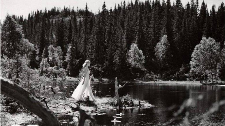 Lake of the Dead image