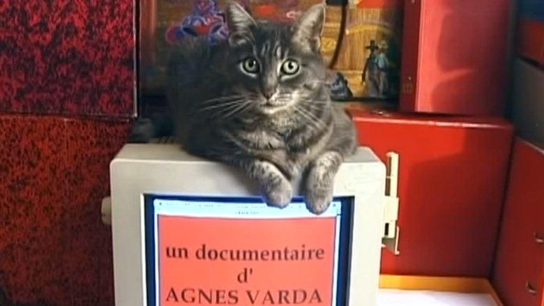 Tribute to Zgougou the Cat image