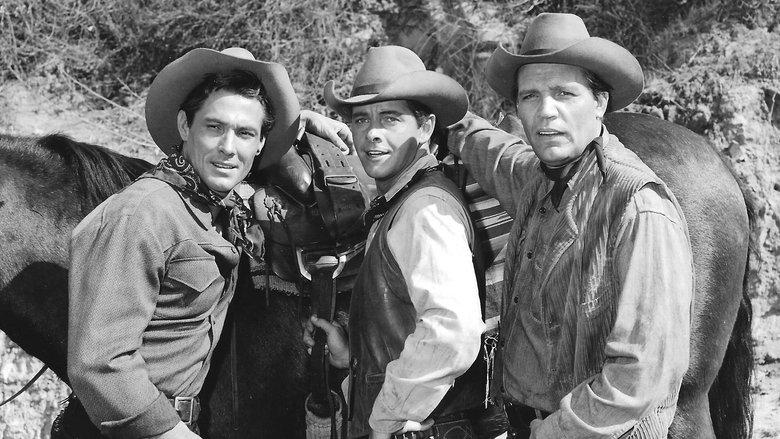 Laredo image