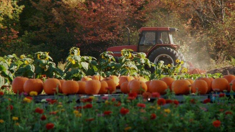 Farmageddon image