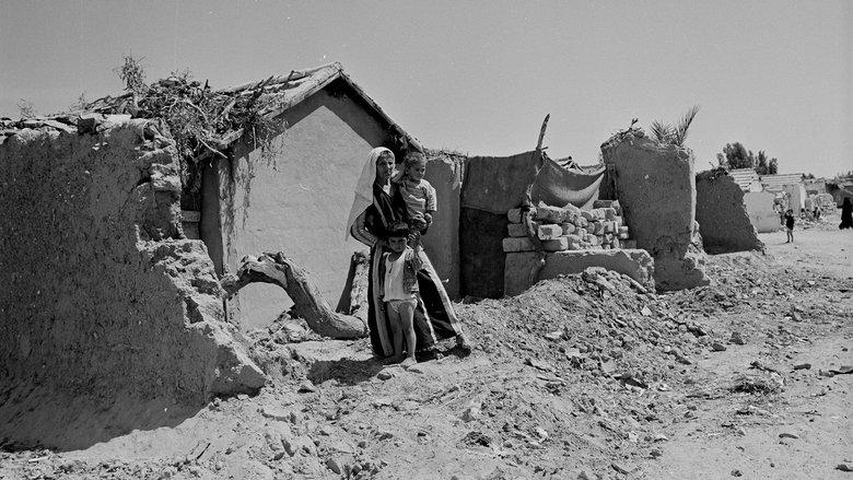 Occupation 101: Voices of the Silenced Majority image
