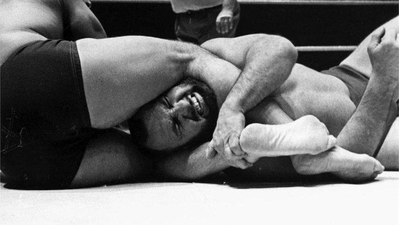 Wrestling image