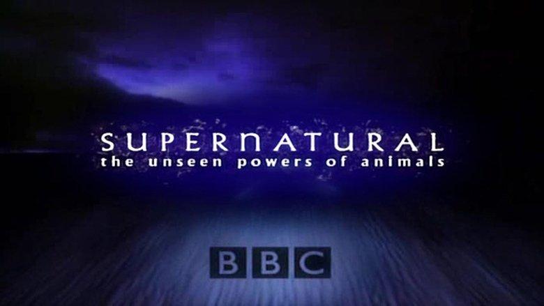 Supernatural: Unseen Power of Animals image
