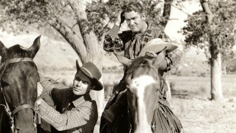 The Desperadoes image