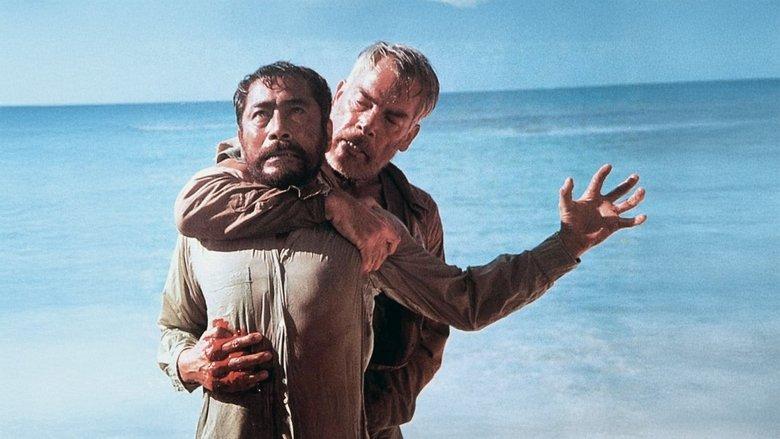 Hell in the Pacific image