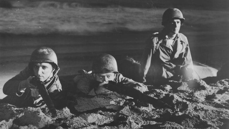 Silent Raiders image