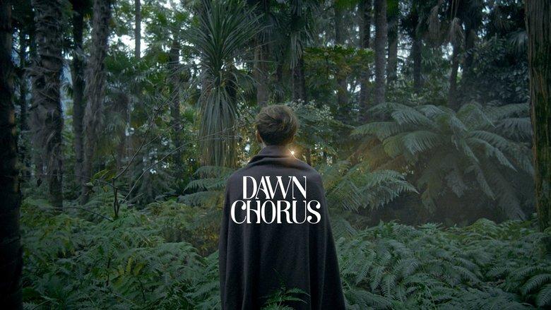Dawn Chorus image