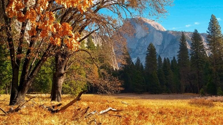 Scenic National Parks: The Best of the National Parks image