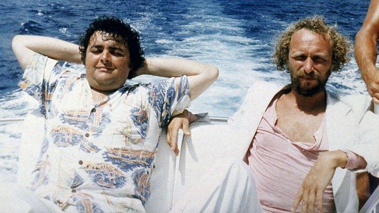 The Castaways of Turtle Island image