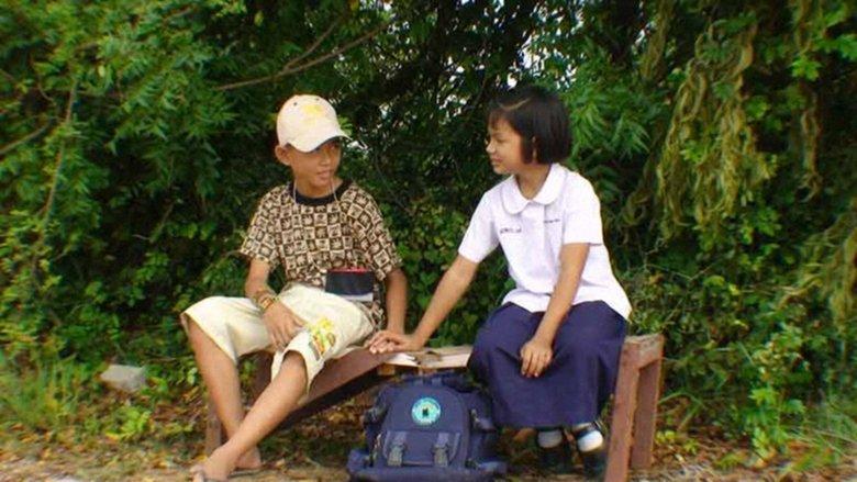 The Story of Net image