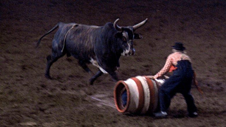 Rodeo image