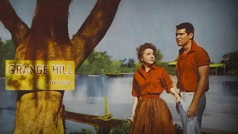The Louisiana Hussy image