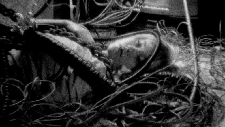 A.I. Mama image