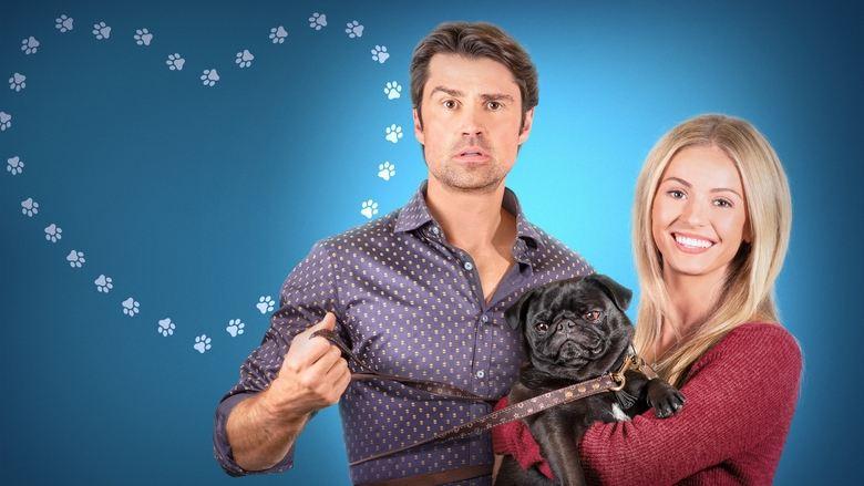 The Dog Lover's Guide to Dating image