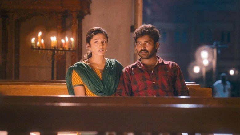 Cuckoo image