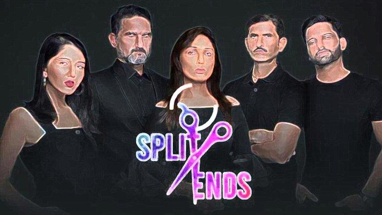 Split Ends image