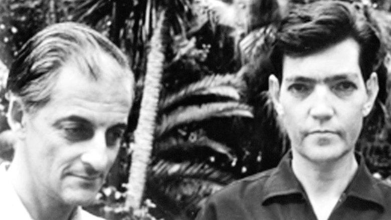 Cortázar y Antín: cartas iluminadas image