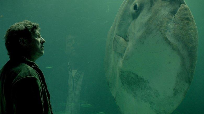 The Sunfish image