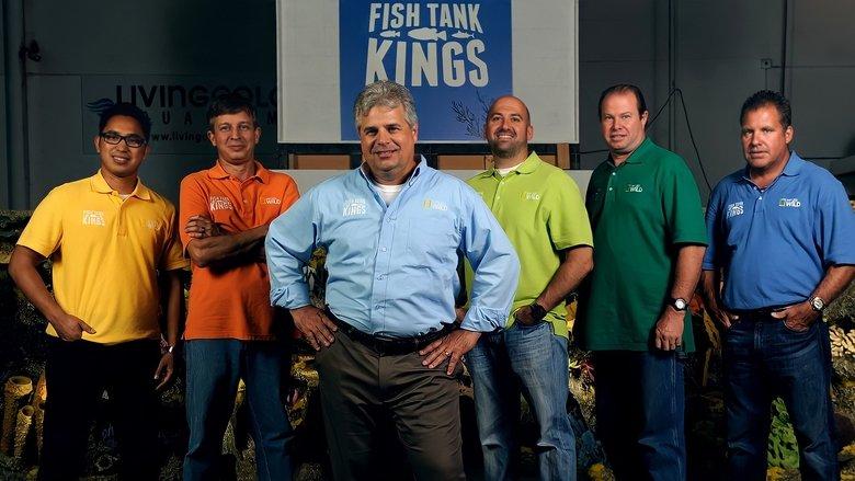 Fish Tank Kings image