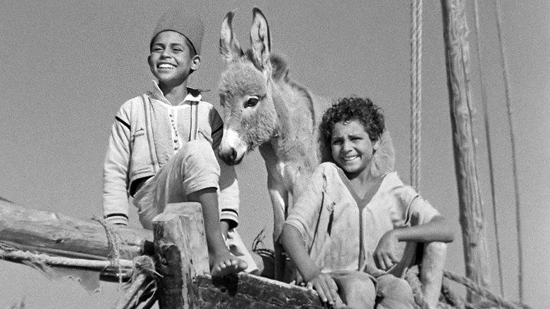 Bim, the Little Donkey image