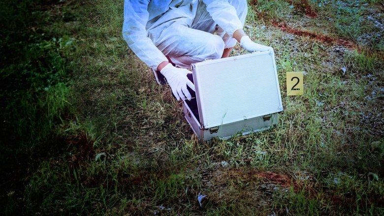 Pandora's Box: Unleashing Evil image