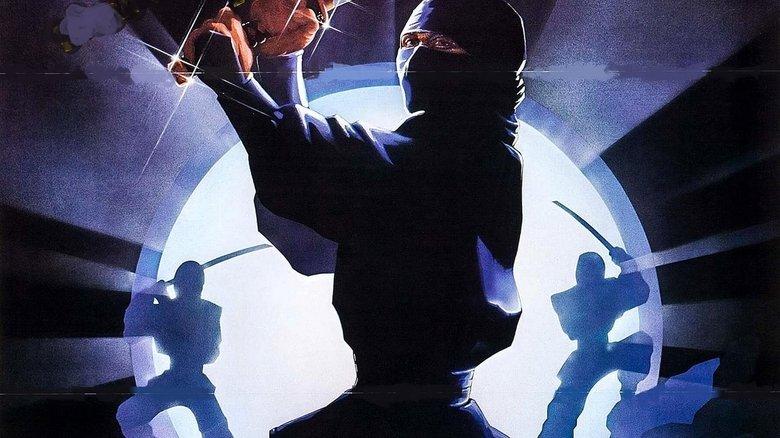 The Ninja Mission image