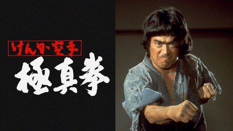 Karate Bullfighter image