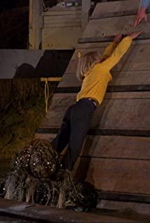 Amy Barrett image