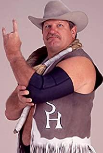 Stan Hansen image
