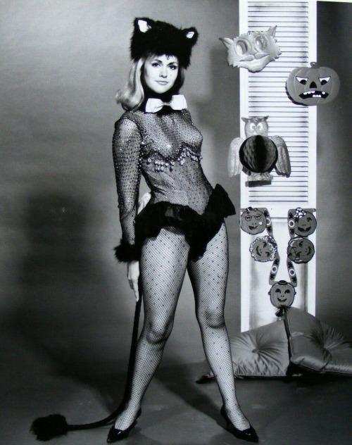 Linda Marshall image