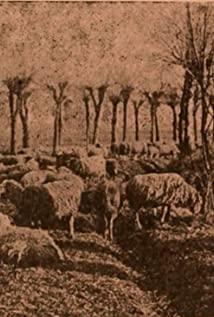 Gigetta Morano image