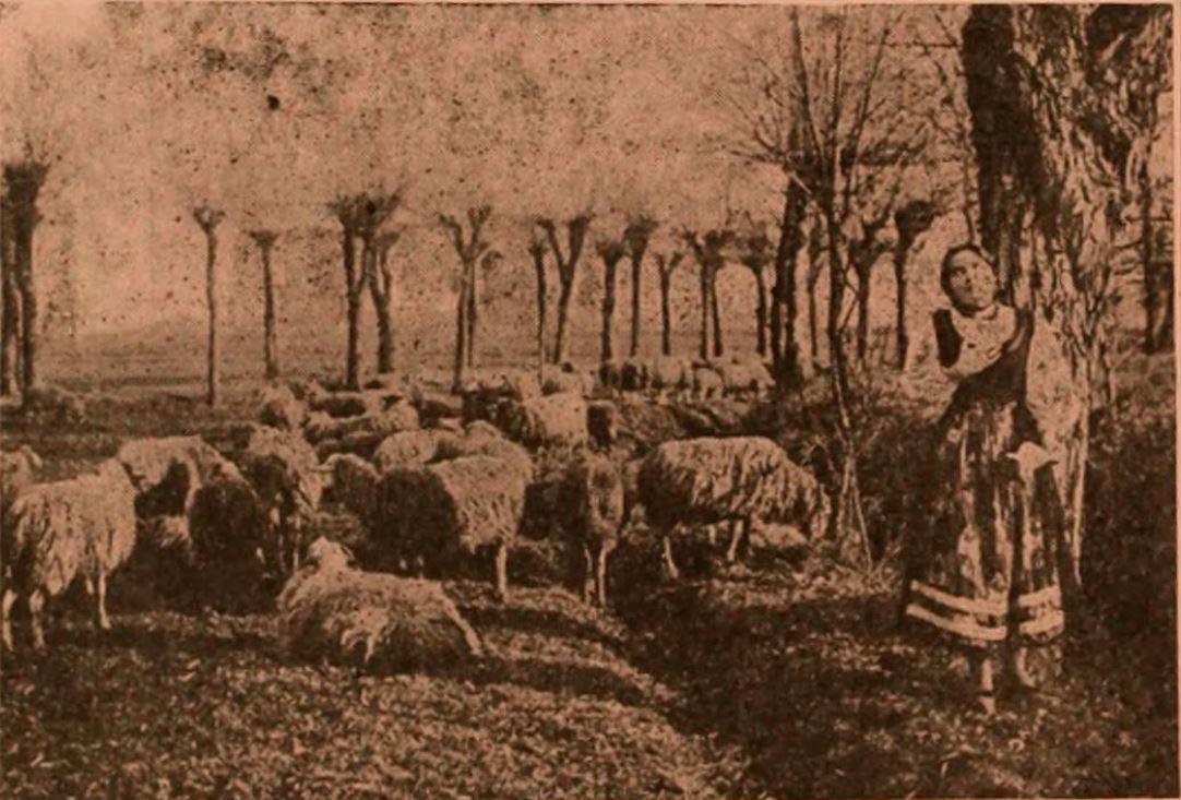 Gigetta Morano image