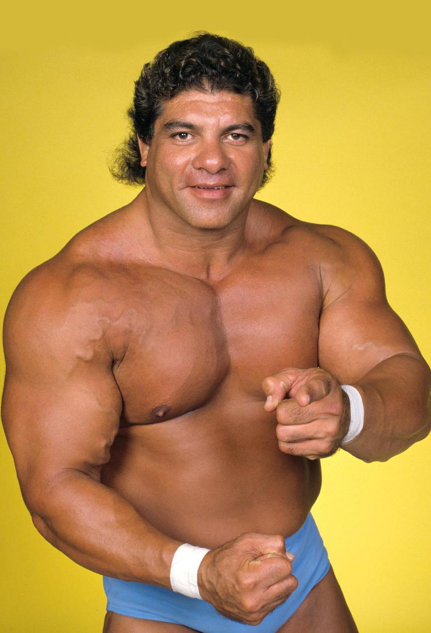 Don Muraco image