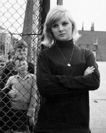 Anneke Wills image
