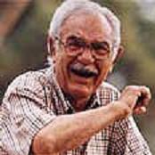 Yossi Yadin image