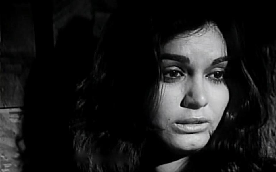 Nilufar image