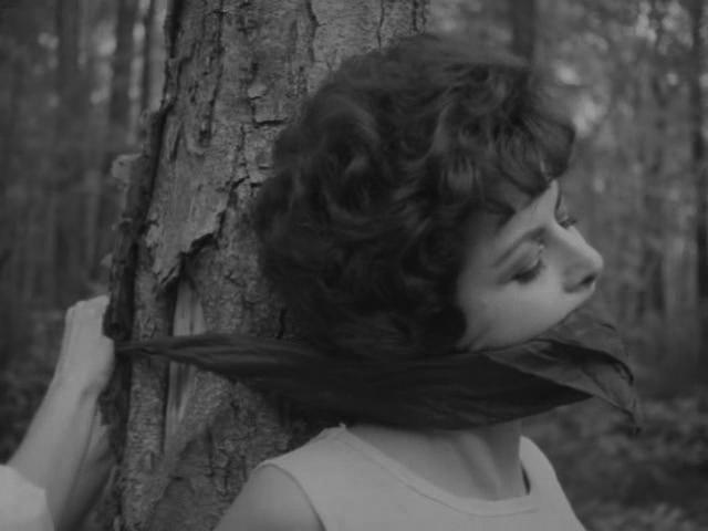 Ella Daphni image