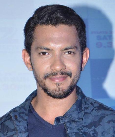 Aditya Narayan image